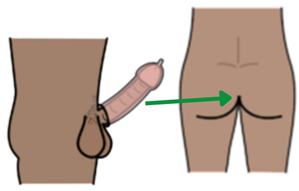 image of an arrow pointing from an erect penis to a person's bottom.