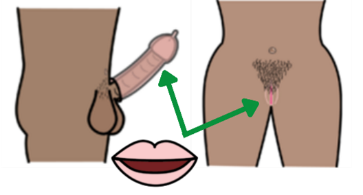 image of lips with two green arrows pointing to an erect penis and a person's vagina.