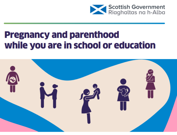 image of pregancy leaflet for young people